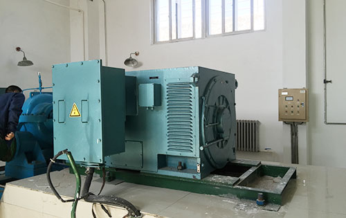 Y800-12某水电站工程主水泵使用我公司高压电机