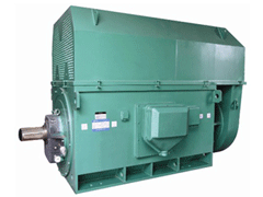 Y800-12Y系列6KV高压电机